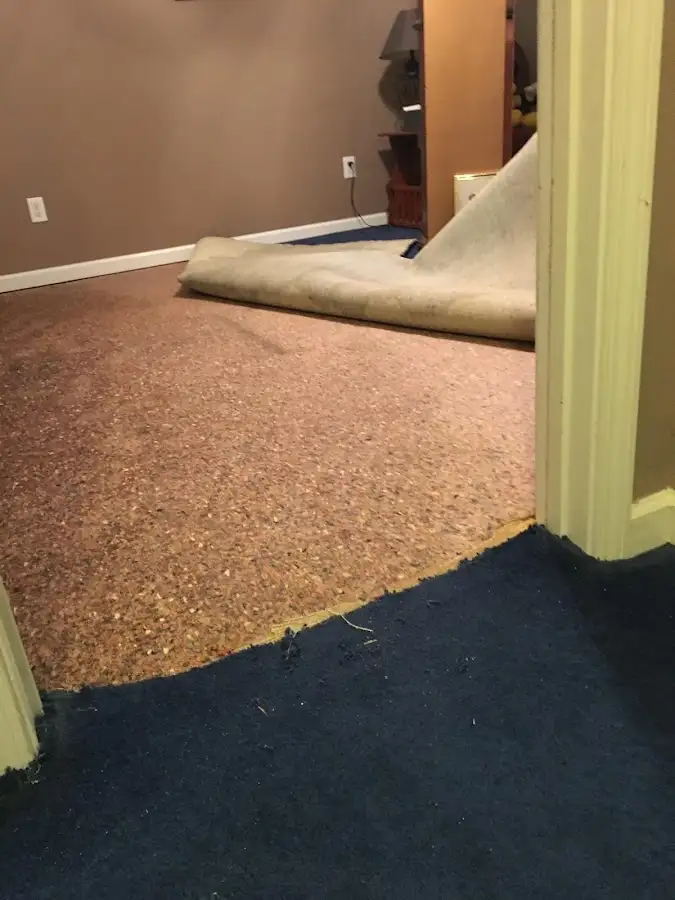 Carpet pad removal revealing water damage during Drying & Dehumidification in Fort Campbell North